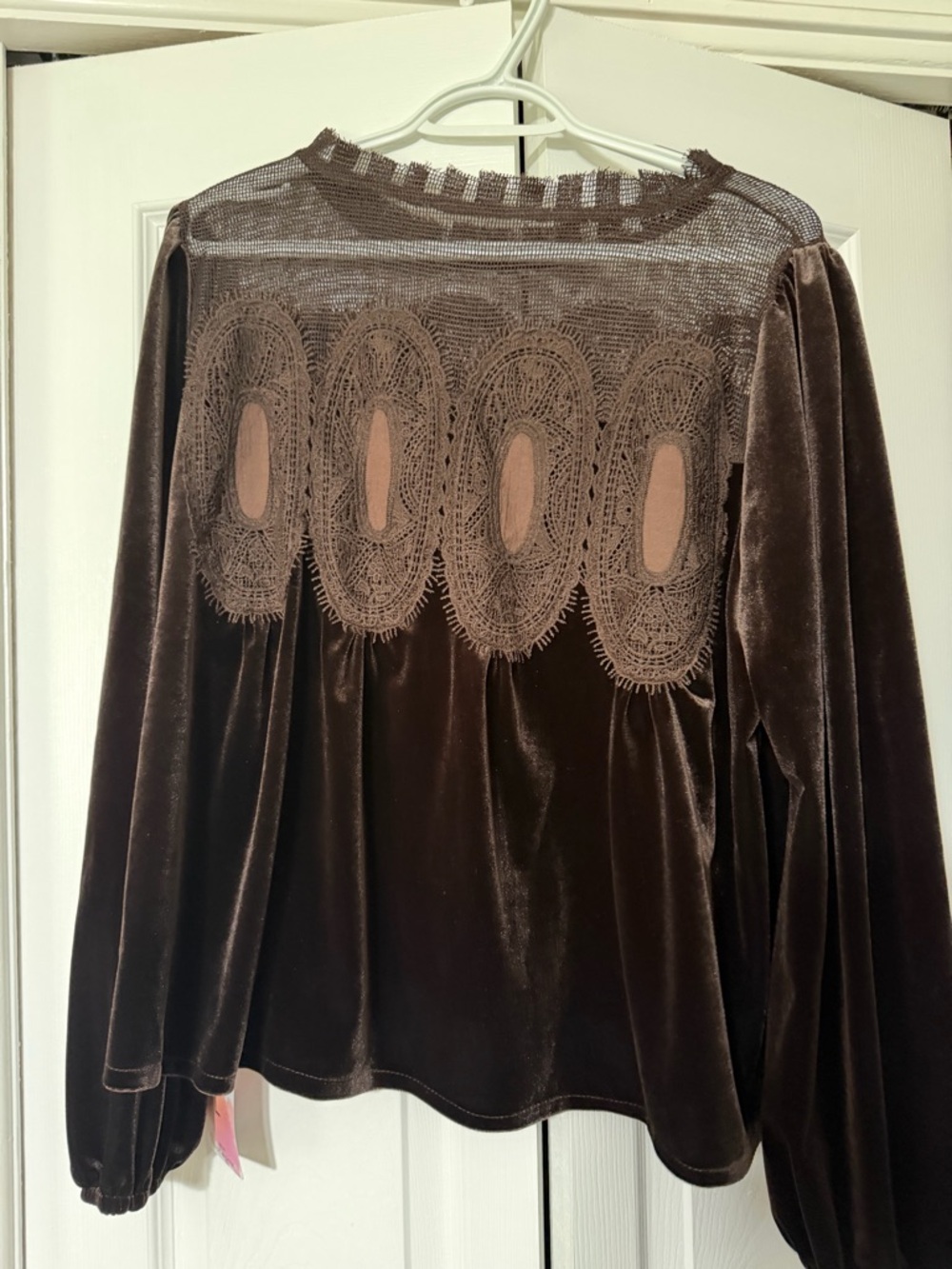 NWT Women's Brown Velvet Lace Yoke Long-Sleeve Top - Picture 3 of 3